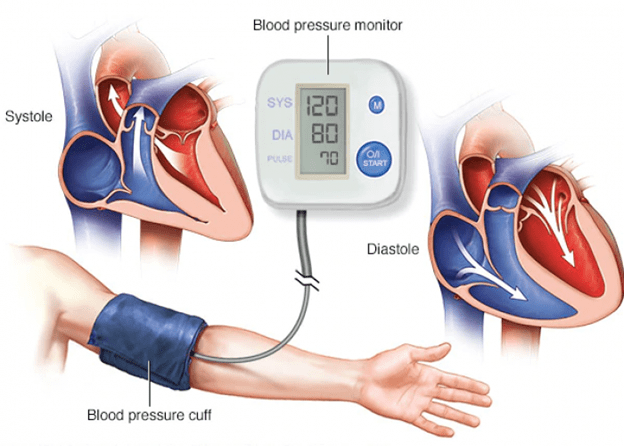 Systolic Diastolic Pressure 02 فشارخون سیستولیک و دیاستولیک